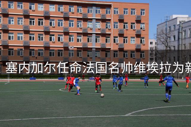 塞内加尔任命法国名帅维埃拉为新任国家队主教练