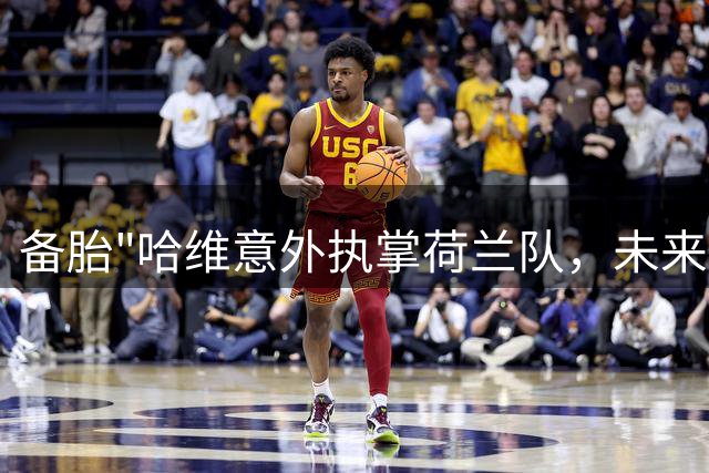 备胎"哈维意外执掌荷兰队，未来前景堪忧？