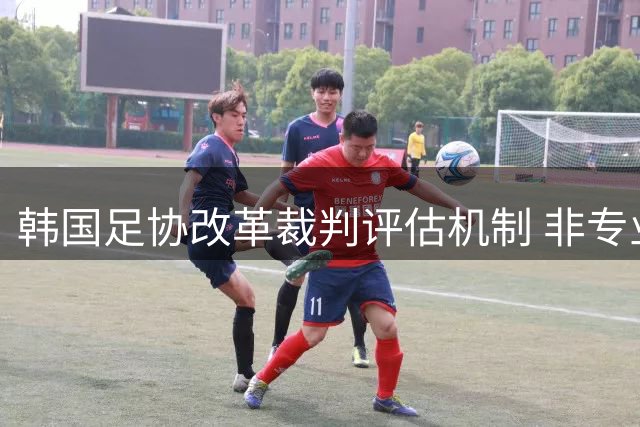 韩国足协改革裁判评估机制 非专业裁判成员占比创新高